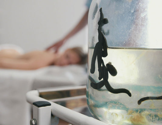 10 Пиявици Среден Размер