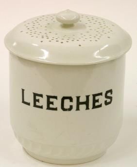 Leech Therapy for Varicose Veins. Лечебни пиявици за варикозни вени. Цеци Tsetsi