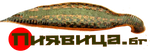 Пиявици.бг