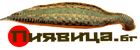 Leech.com Leech.com